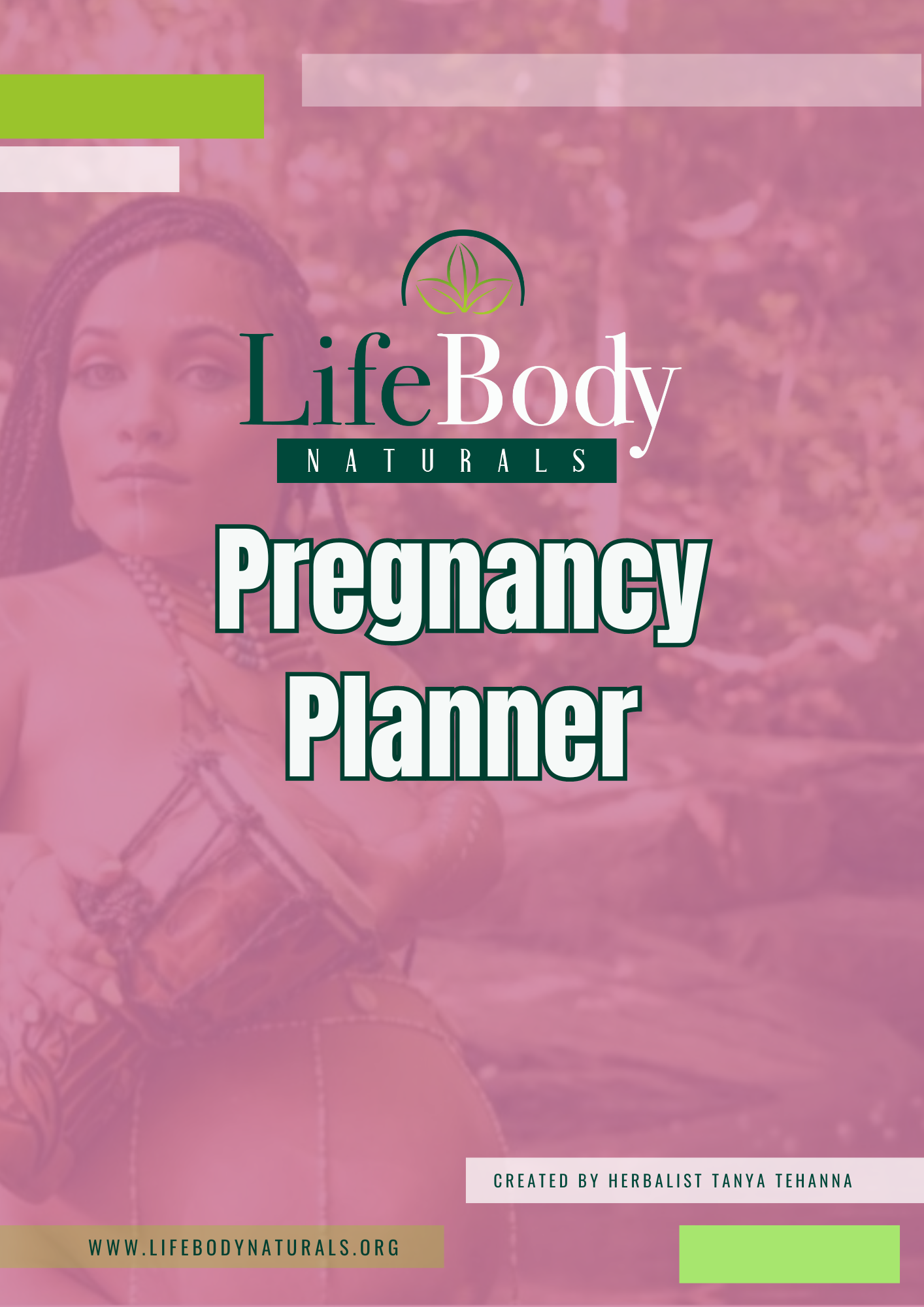 The Pregnancy Planner